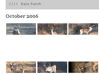 Bajio Ranch