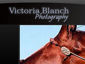 victoriablanch.com